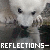 repeated animal faces with text 'REFLECTIONS-' in white and blue, showing animation changes across frames