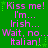Green background with repeated pink text reading 'Kiss me! I'm... Irish... Wait, no... Italian!' and small green stars.