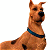 A pixelated cartoon dog with a blue collar on the left and green text reading "Original Icons .com" on a dark green background to the right, displayed as a contact sheet of two frames.