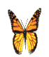 Six monarch butterflies in a , each with orange and black wings, displayed against a light gray background