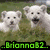 Two side-by-side pixelated images of dogs with text overlays; left shows white dogs on green grass, right shows brown dogs on light background.