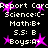 Pixelated report card with grades and 'Boys:A+' text surrounded by pink starbursts on black background.