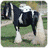 A black and white horse stands on grass with a blurred background, while red text reads "HORSE LOVER" over a stylized brown horse graphic.