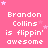 Pink background with repeated white text 'Brandon Collins is flippin' awesome' and scattered light purple stars, one gray square in bottom-right corner.