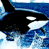 Four distinct killer whale frames arranged in a 2x2 contact sheet showing different poses and angles against blue water backgrounds.