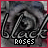 A static image of stylized text 'black roses' with a swirling background pattern, rendered in grayscale tones.