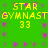 Green background with yellow text reading "STAR GYMNAST 33" repeated twice in a , surrounded by pink pixelated dots