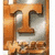 Animated icon shows a large brown 'T' on stone background with text below, transitioning to red 'I' and yellow 'STATE' over white.