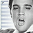 iconhell_pinkpanda_elvispelvis04pinkpanda