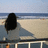 A pixelated static image shows a dark silhouette of a person standing on a beach with the ocean and sky in the background.