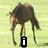 A horse in a grassy field with text labels and an inset image of a person kissing the horse.