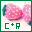 Pink candy-shaped icon with green leafy top and black base, displaying 'C+R' text below, in a of identical copies with varying border colors
