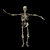 Animated contact sheet of a 3D skeleton in various poses against black background with gray transparency indicator.