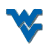Static blue logo icon with stylized 'WV' shape on white background, rendered in pixelated style with anti-aliased edges and slight transparency effects.