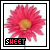 iconhell_suqababii_sweet