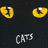 Yellow cat eyes with black pupils and white highlights animate across a dark background, each eye pair paired with the word 'CATS' below.