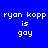 Blue background with white text 'ryan kopp is gay' and green rectangular highlights shifting across different words in a