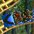 Pixelated static image shows a blue boat on water with brown figures, red accents, and green foliage background.