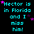 Cyan text on black background reads "Hector is in Florida and I miss him!" with scattered pink and purple stars, one gray rectangle in bottom-right corner.