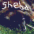 Aim Buddy Icons