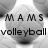 Black-and-white pixelated image of a volleyball with overlaid text fragments arranged in a pattern