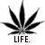 Black cannabis leaf icon with 'LIFE.' text below, next to pixelated 'got weed?' text on white background.