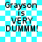 Blue and white checkered background with black text reading "Grayson is VERY DUMMM!" in two identical