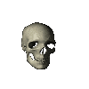 A grayscale 3D-rendered human skull rotates through multiple angles against a solid light gray background.