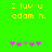 Green background with yellow text reading "I luv u adam h." and five pink/purple flower icons below, two of which change color between frames.