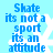 Blue pixelated text on light blue background with white snowflake patterns, repeating 'Skate its not a sport its an attitude' in four identical sections.