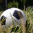 Pixelated image of a soccer ball on grass with pink text reading 'baby. it's life.' against white background.