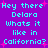Pixelated cyan text on purple background with pink starbursts, repeating 'Hey there Delara Whats it like in California?' in two