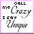 Pixelated text reads 'YOU CALL me Crazy I say Upsy' in black and gray on white background with pink border.