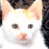 A 2x2 contact sheet of a pixelated cat animation with two identical frames showing a white and orange kitten on the left, and a blue background with "CoolBuddy.com" text on the right.