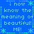 Blue background with light blue pixelated text repeating 'i now know the meaning of beautiful! ME!' surrounded by asterisk and line symbols.