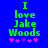 Green text reading "I love Jake Woods" on blue background with pink asterisks below, two versions differ in asterisk arrangement.