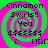 Pixelated text and symbols on a green and pink spiral background with no visible animation changes.