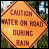 A diamond-shaped orange road sign with brown text reading "CAUTION WATER ON ROAD DURING RAIN" against a blurred background of greenery and sky.