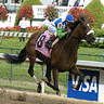 Static image of a horse race scene with jockey on brown horse wearing pink saddlecloth numbered 8, near blue USA sign in background.