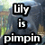 A dog's face appears in two with text overlay reading 'Lily is pimpin' on the left
