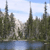 Pixelated landscape with tall trees, a body of water, and a light sky with faint clouds.