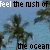 Pixelated beach scene with palm trees and ocean background, text 'feel the rush of' and 'the ocean' in black and white pixel font.