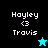 Pixelated text 'Hoyley <3 Travis' appears on four distinct background colors with a star symbol changing from cyan to black.