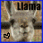 nine identical llama images with changing text colors and small heart symbols below each