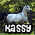 Pixelated image of a light gray horse standing on grassy terrain with a blurred green background, below which is bold white text reading "HASSY" on a black rectangular base.