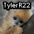 Pixelated image of a dog and monkey with text overlays, divided into four quadrants on a gray background.