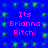 Blue background with green pixelated sparkles and four identical pink text blocks reading "Its Brianna Bitch." arranged in a