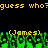 Pixelated yellow text reads "guess who? guess who?" above green pixelated grass with two identical names in parentheses below.