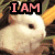 A pixelated image of a white bunny with text overlays in pink and black, set against a blurred background.