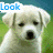 A white puppy with dark eyes and nose appears in six , each showing a different text overlay reading 'Look at my little face' across the top-left to bottom-right sequence